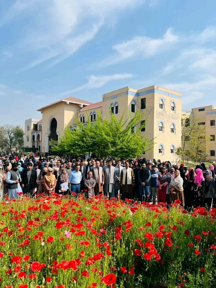 SEEDS FOR PEACE PLANTATION DRIVE